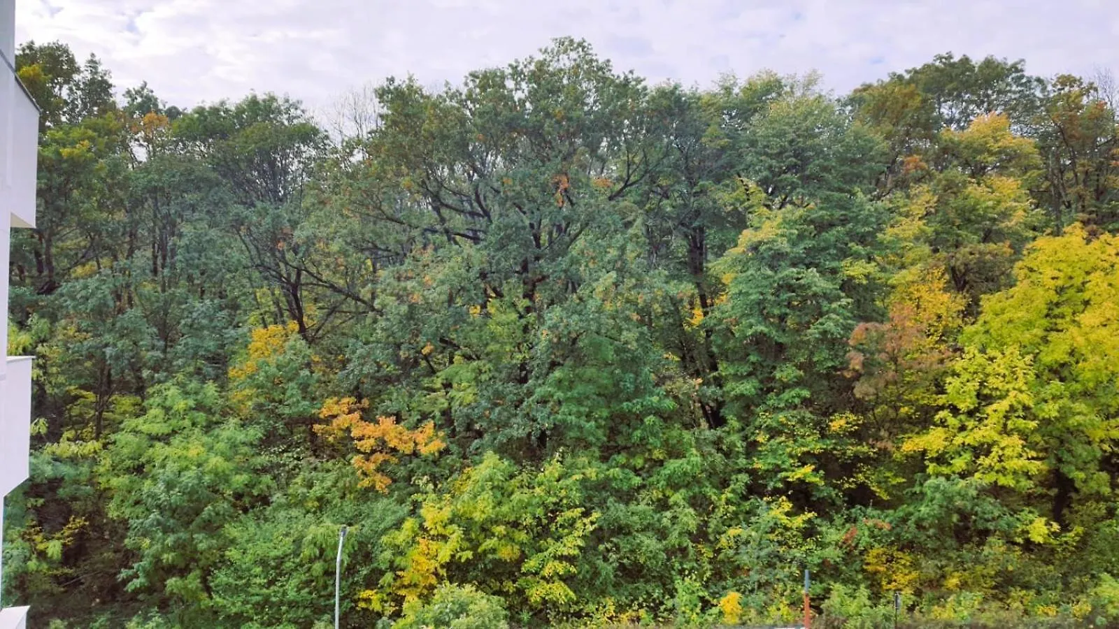 Appartement Aze - Forest Whisper Bucarest